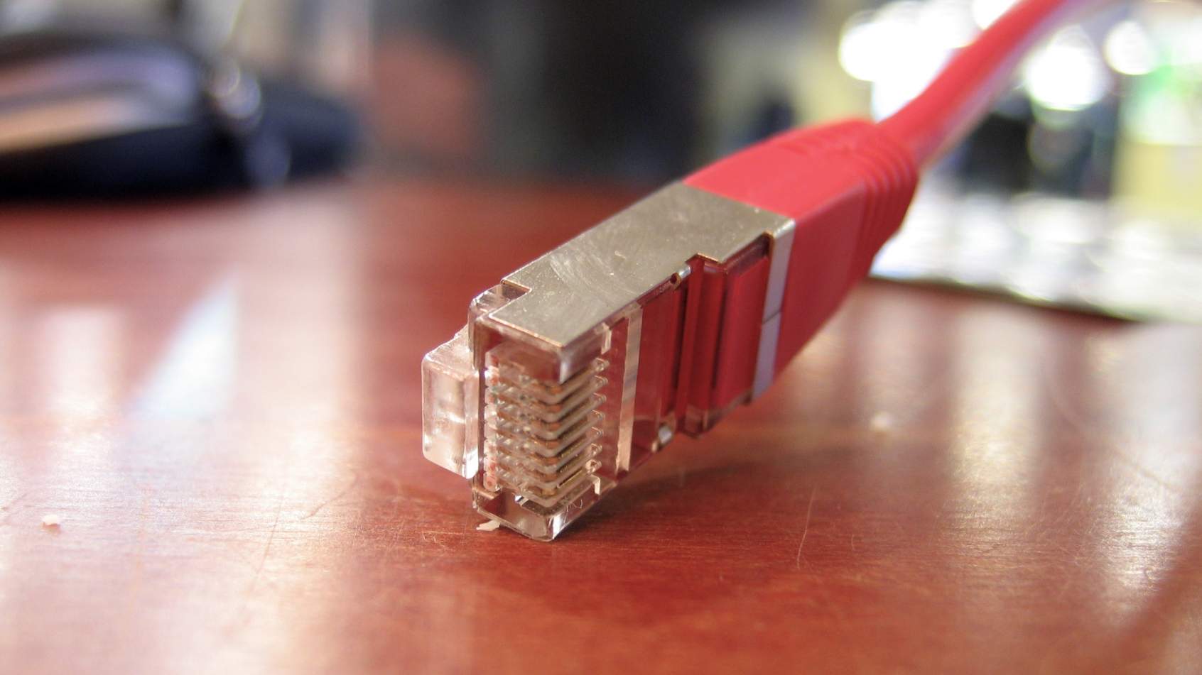 ボノボはチンパンジーよりも人間に近いかもしれないことをご存知ですか?